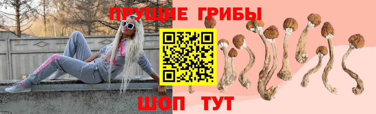 Псилоцибиновые грибы мицелий Ишим